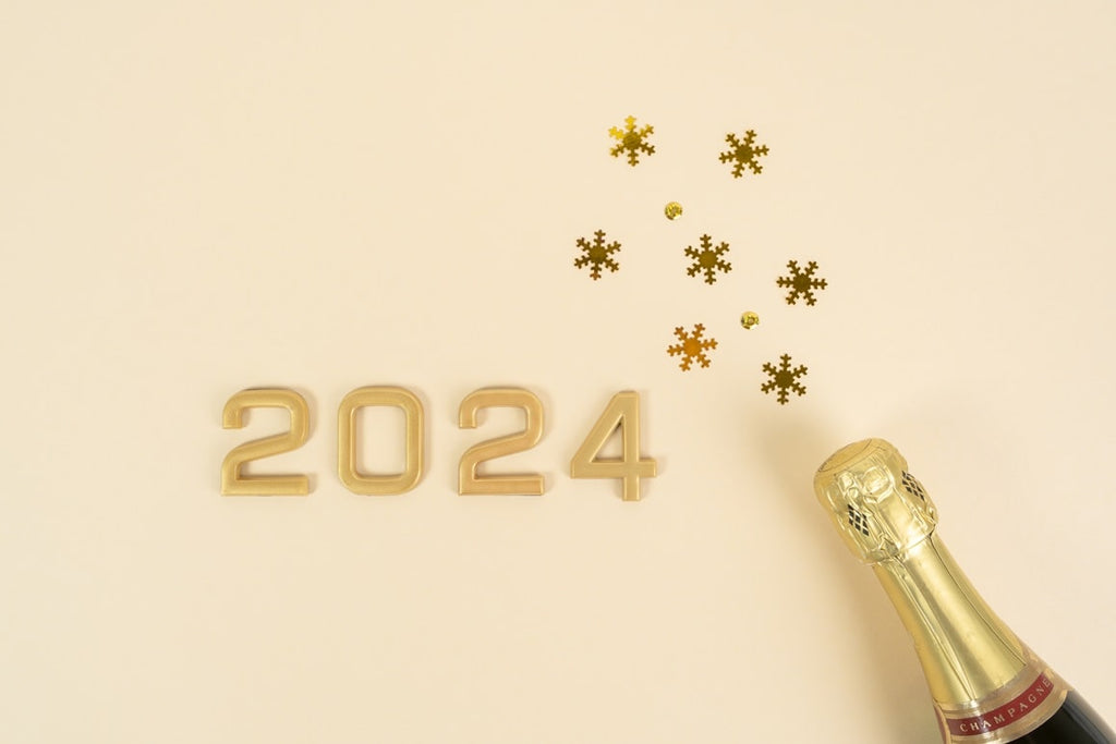 "Ring in 2024 with Rebound: Expanding Your Celebrations with Party Recovery Solutions